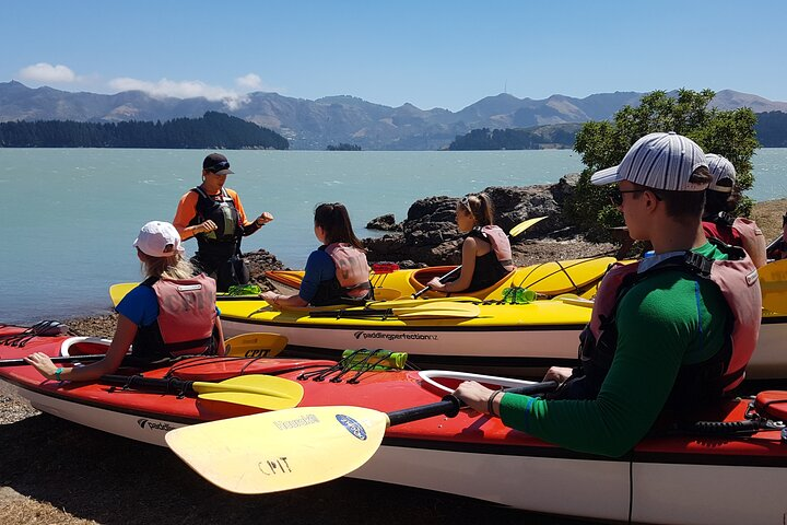 Lyttelton Shore Excursion and Sea Kayaking Tour  - Photo 1 of 7